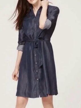 Loft Denim Dress
